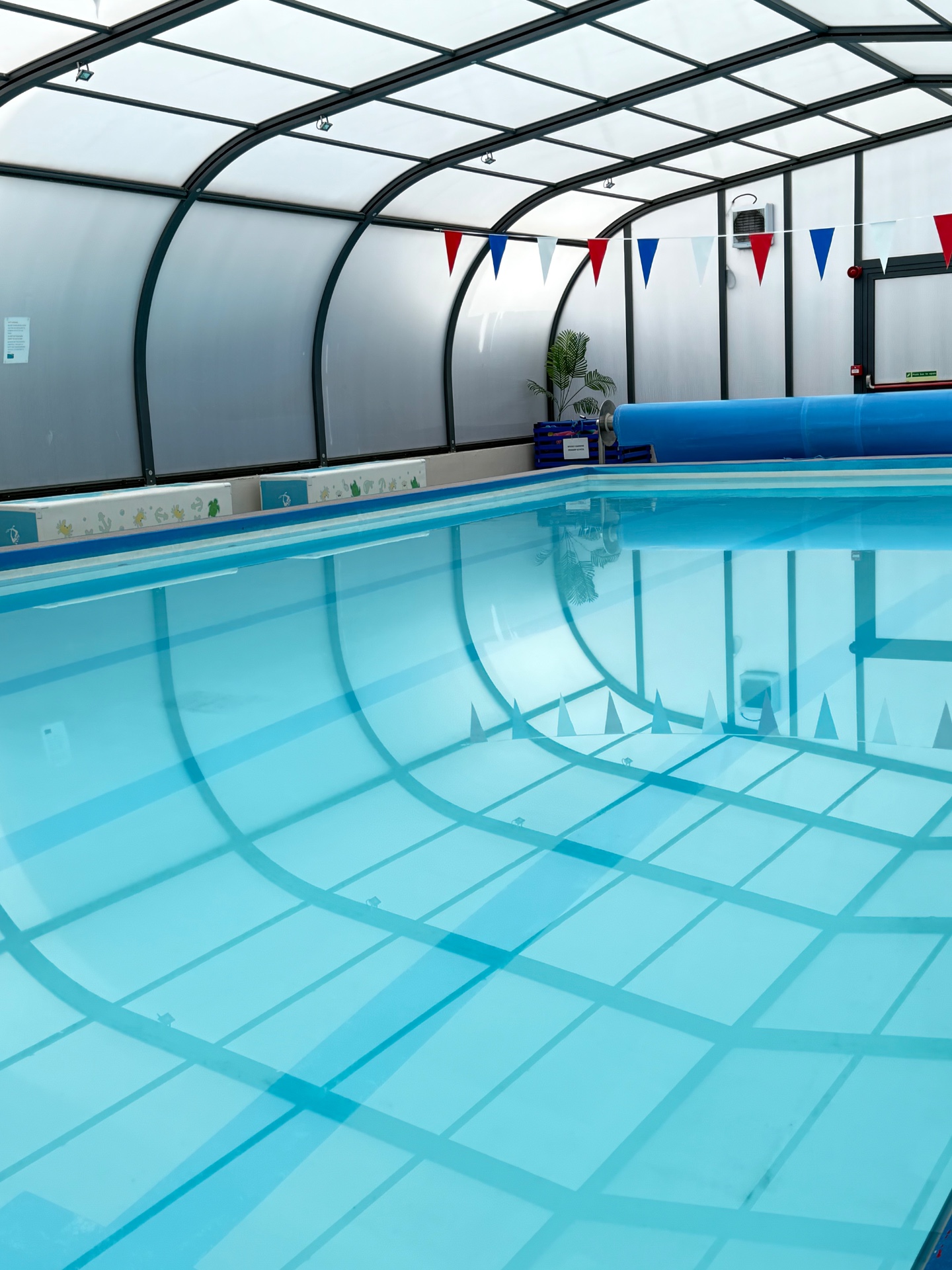 Wessex — swimming lessons 2